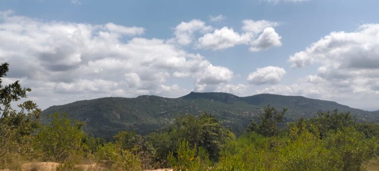 Why Net Zero Starts in the Countryside.